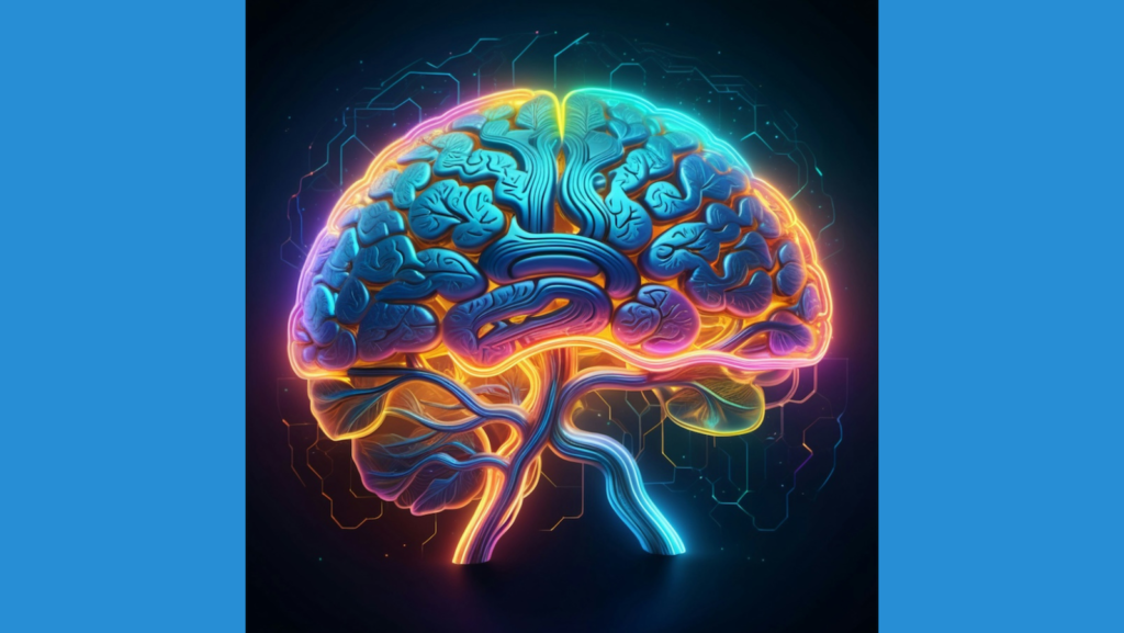 Imagen de un cerebro humano, resaltado con distintos colores.