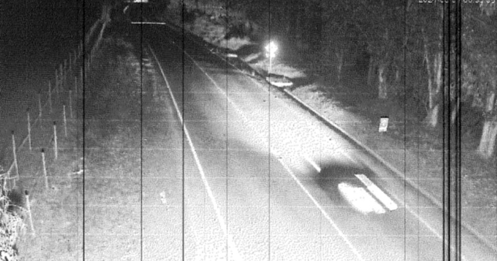 Imagen, en blanco y negro, de un auto que va a alta velocidad por un camino rural.